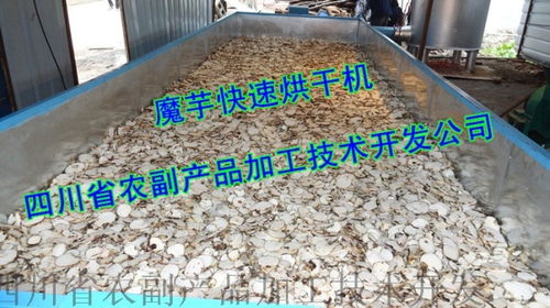 魔芋精粉生產設備 農副產品加工的關鍵技術