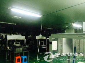黃江鎮大型電子廠二樓無塵車間2350㎡分租，助力電子科技企業高質量發展