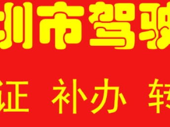 深圳汽車一站式服務(wù)指南 代辦過戶、年檢、綠標(biāo)、違章咨詢與車險辦理