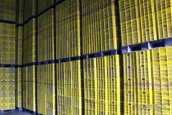 麥積區:大力發展倉儲冷鏈設施 助力農產品提高附加值